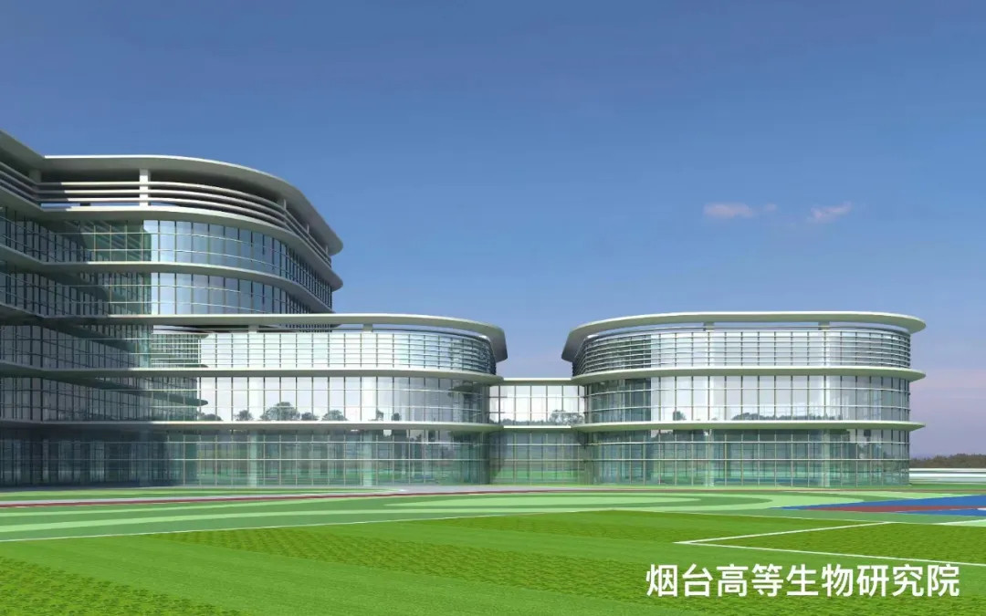 大跨度 高精度 超節(jié)能|鳳鋁助力煙臺城市更新，展登州新貌
